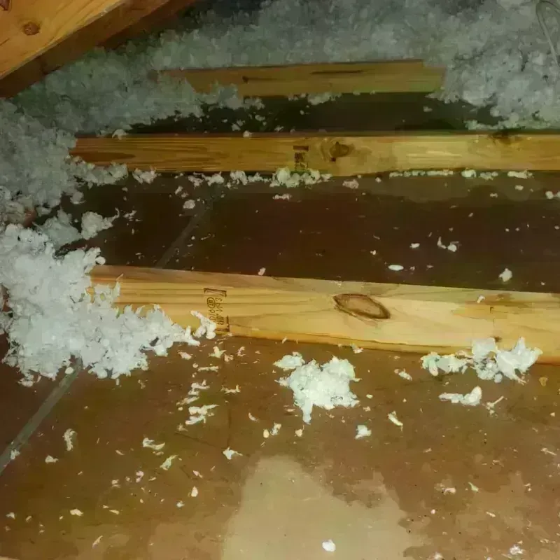 Attic Water Damage in Gainesville, TX