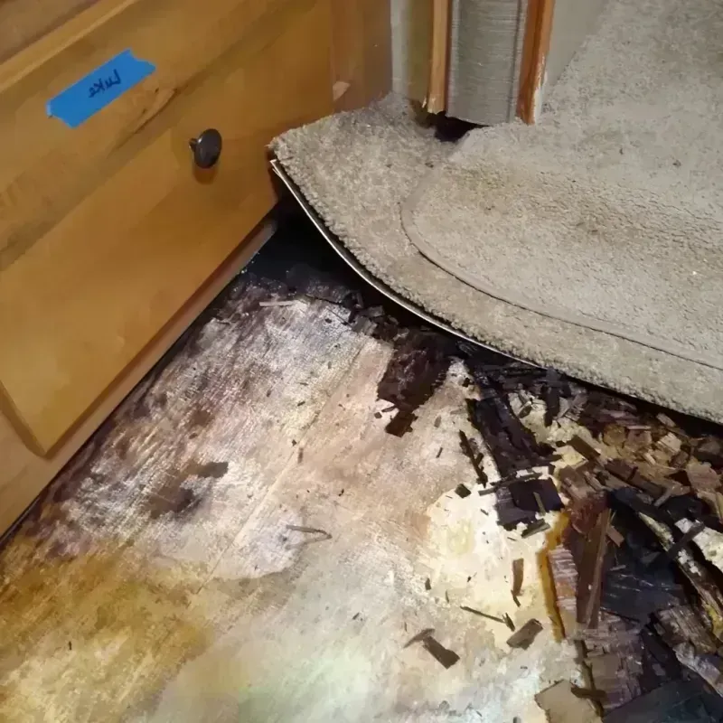 Wood Floor Water Damage in Gainesville, TX